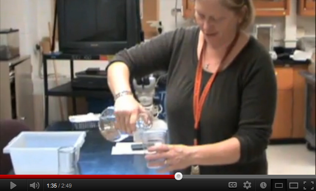 Video: How to Purify Water With Simple Tools