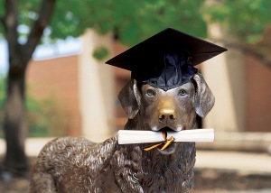 True grit statue with graduation cap and degree in mouth