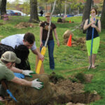 Students planting trees