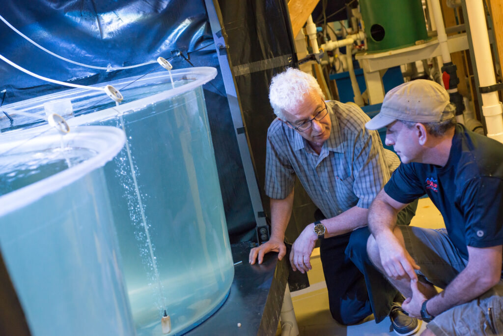 Two people kneeling next to fish tanks