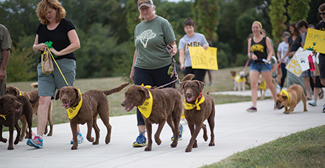 Doggone! UMBC canines strut their stuff at the Puppy Parade.