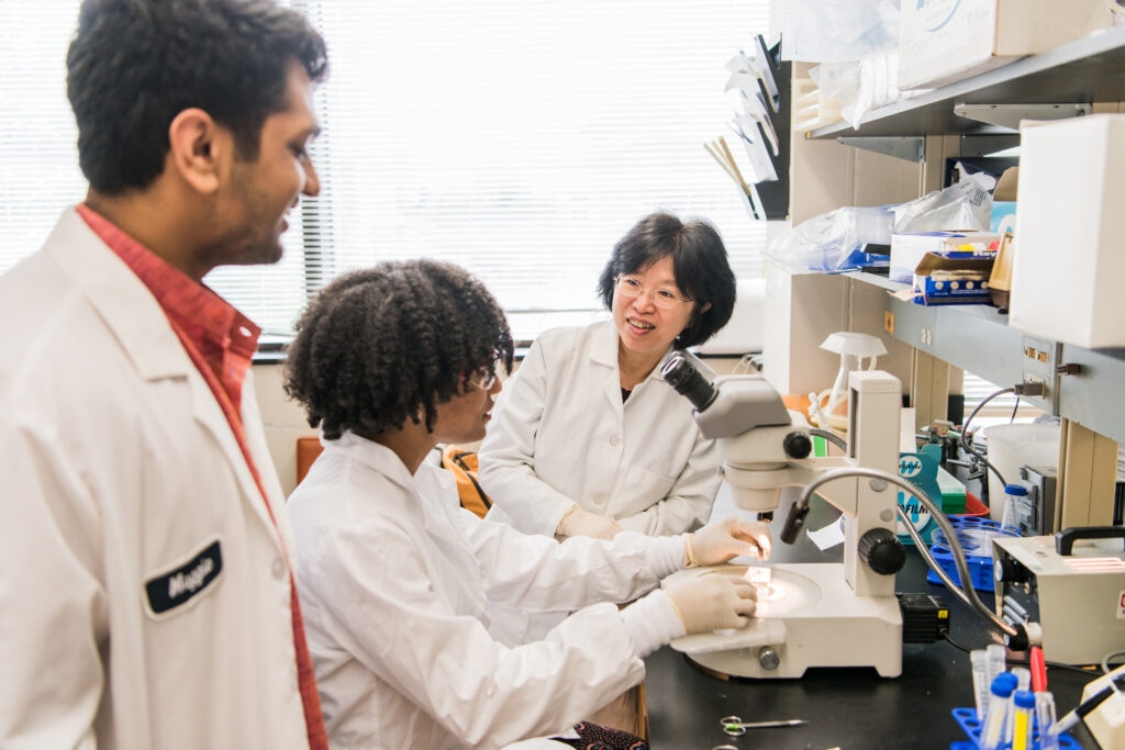 Researchers work in a lab.