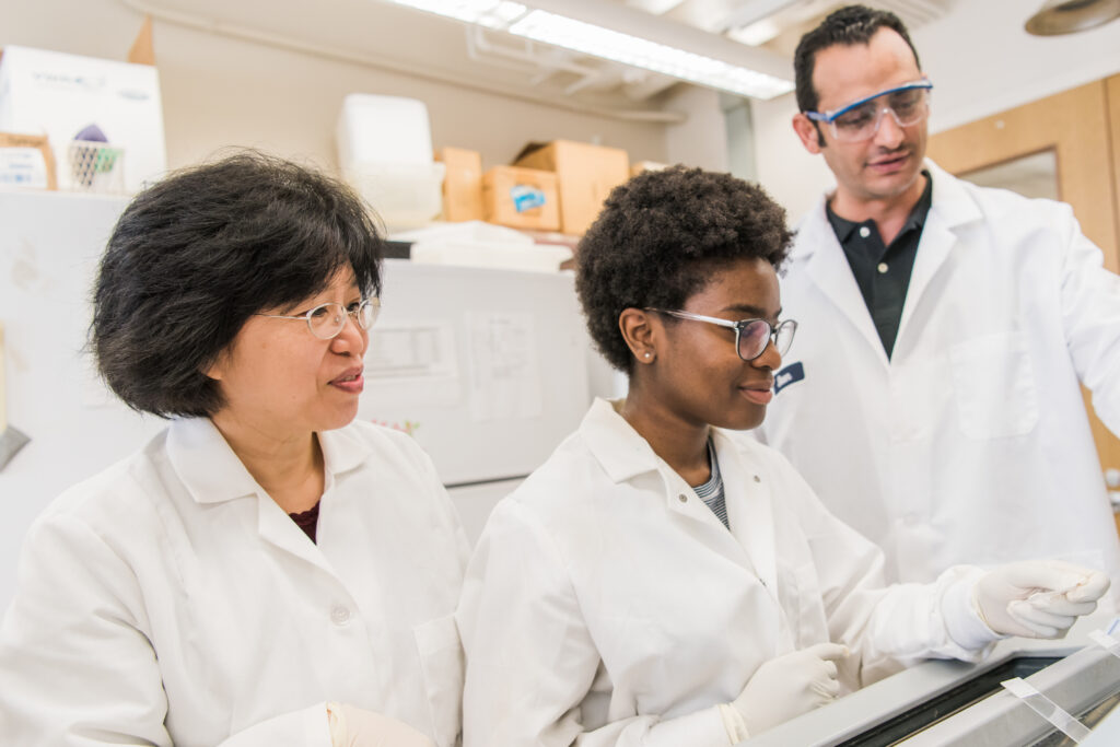 Researchers work in a lab.