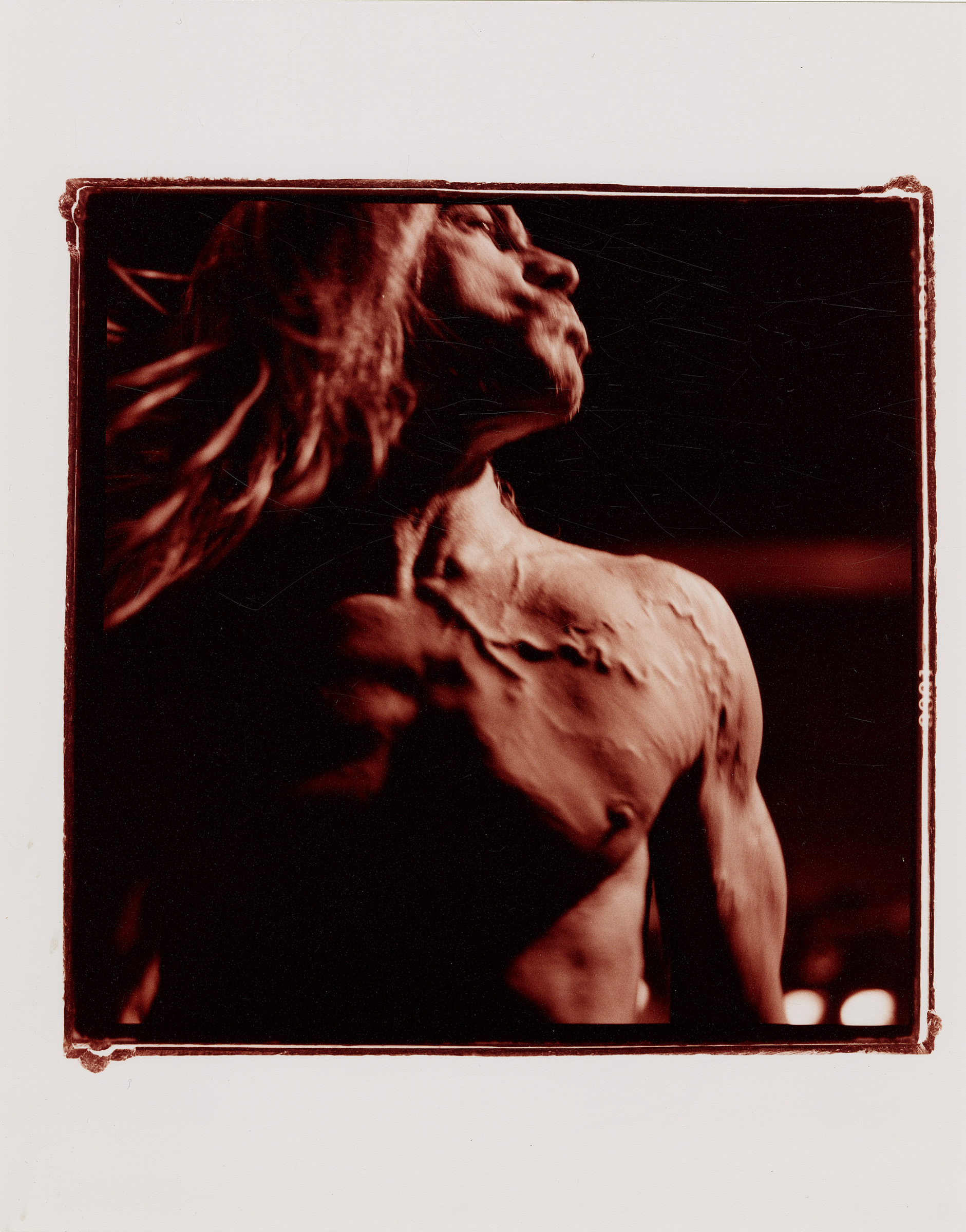 Sam Holden, [Iggy Pop], 2001, chromogenic color print, gelatin silver negatives, cross processed. Collection 255, © Sam Holden Archive, UMBC; Mina and Todd Holden, and Donna Sherman, used with permission