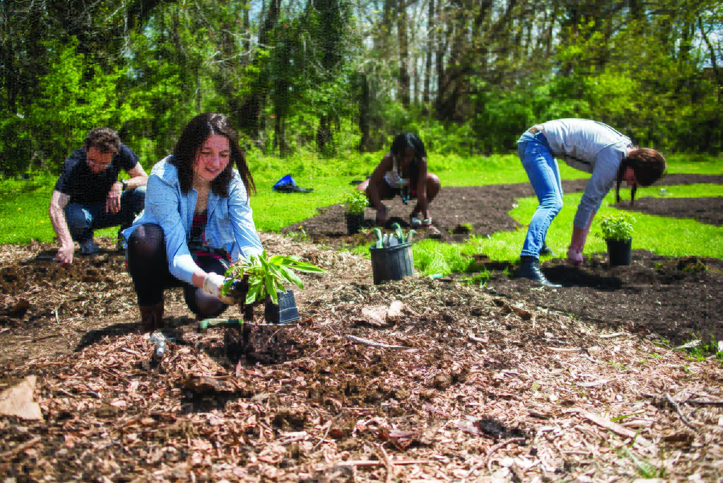 Sondheim Scholars help with a variety of programs, including UMBC's community garden.
