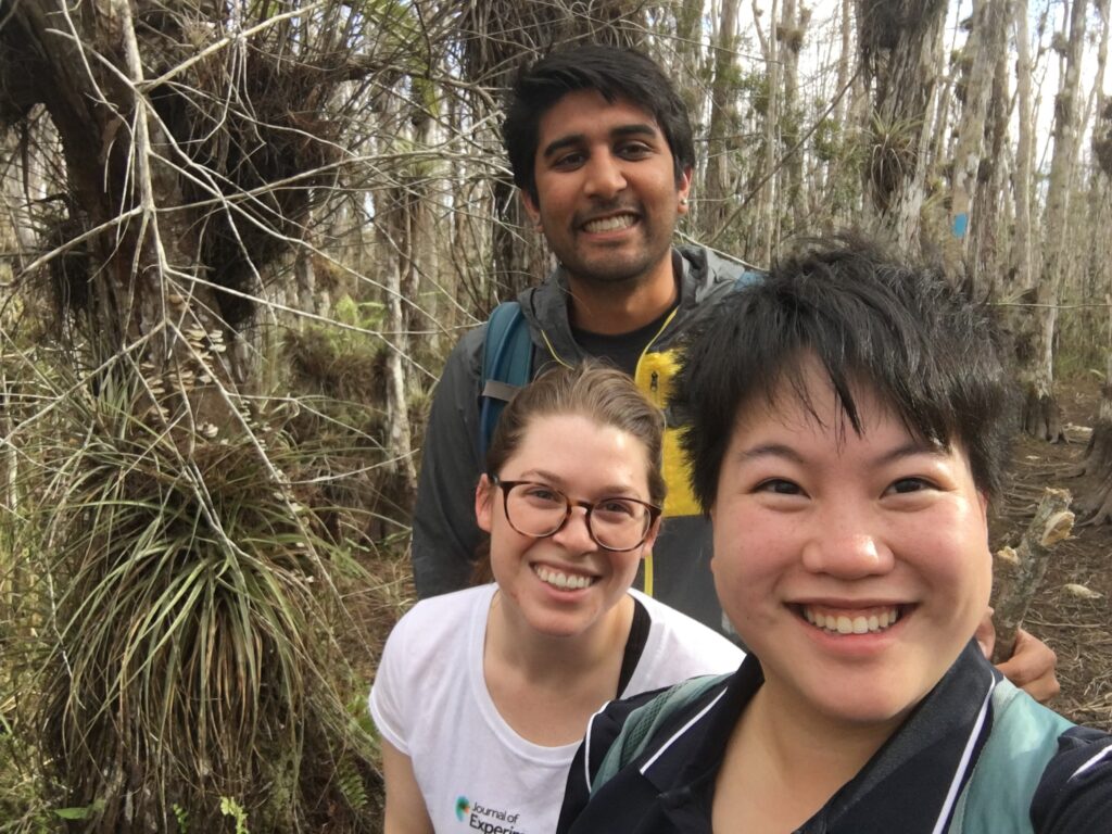 Ricky Patel, Natalie Roberts, and Alice Chou on a hike in a cypress swamp.