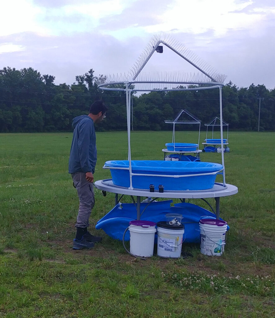 Ricky Patel with his outdoor experimental setup.