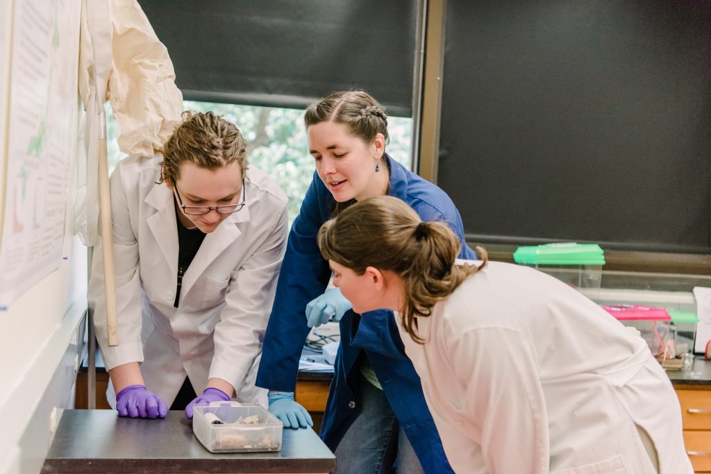 Sarah Stellwagen discusses spider biology with Tyler Montgomery '20, biochemistry and biological sciences, and Genevieve Ahearn '19, biological sciences and environmental science.