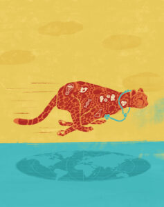 All illustrations by Brucie Roth.
