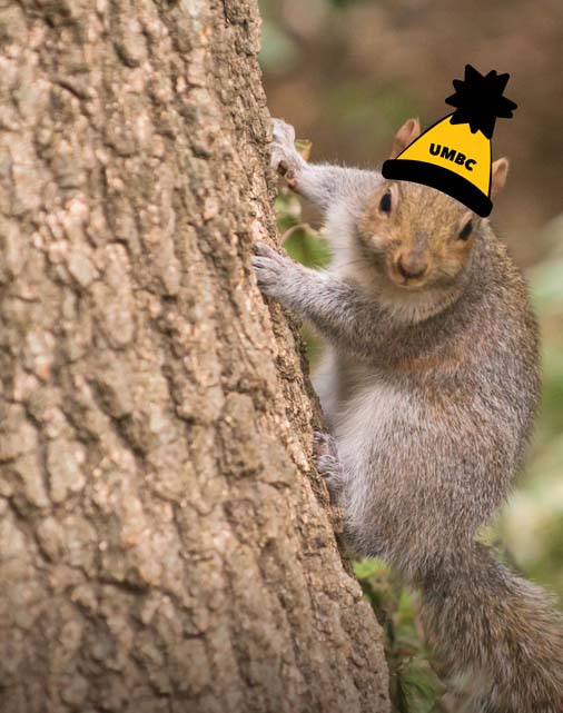 Squirrel with hat drawn on