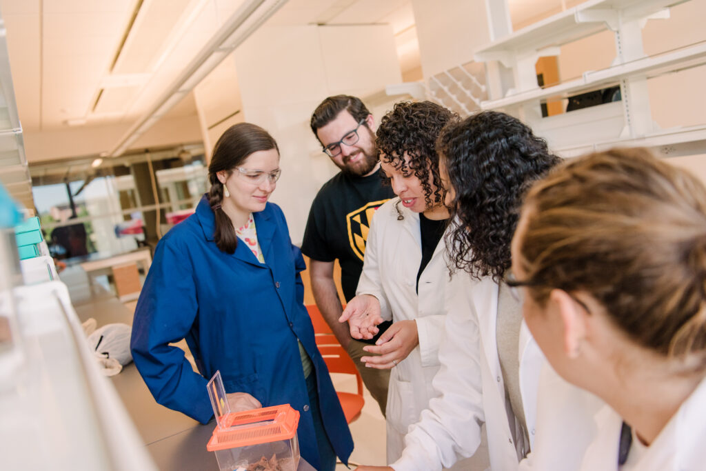 researchers in a lab