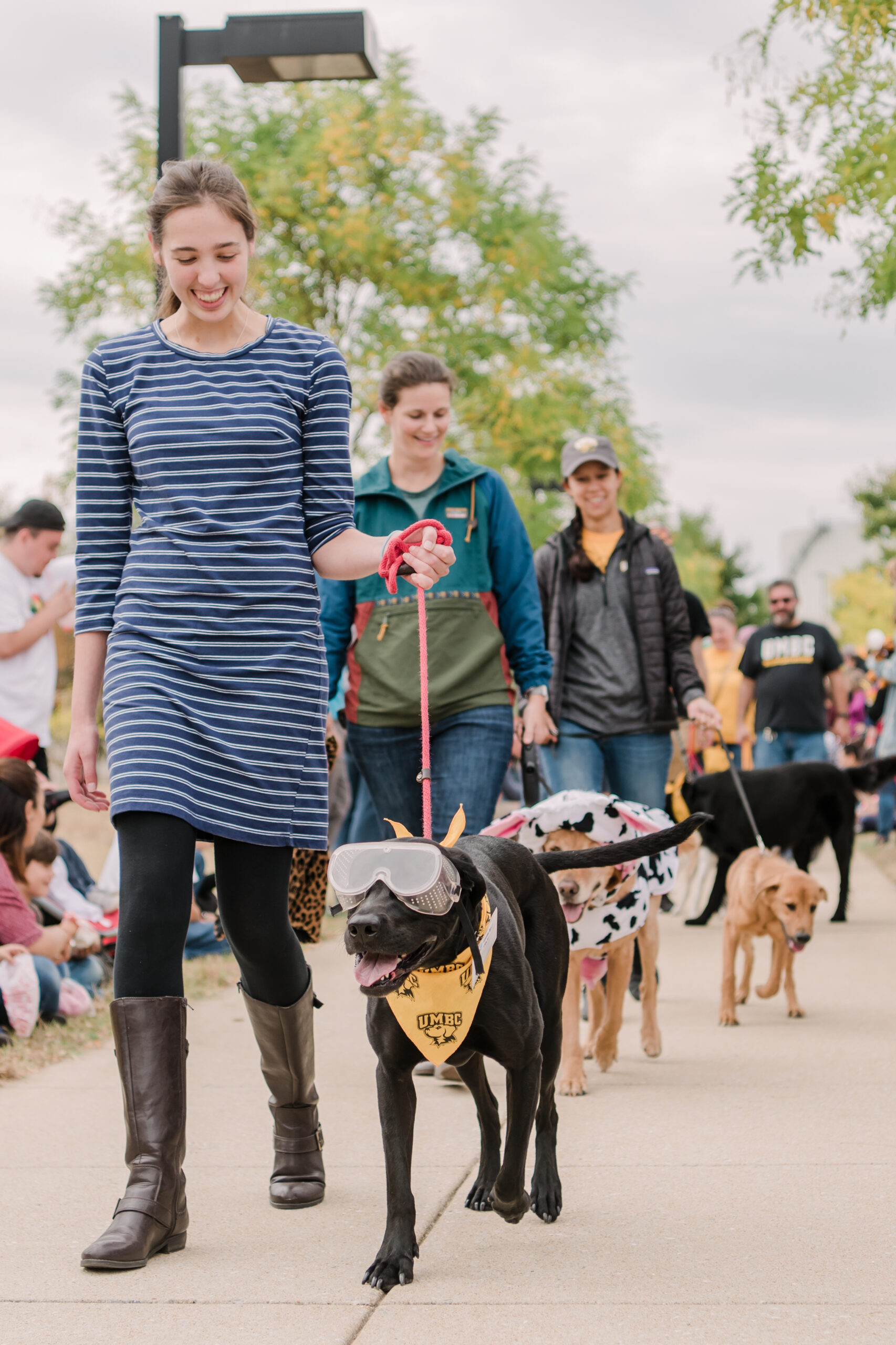 Line of people walking dogs in costume