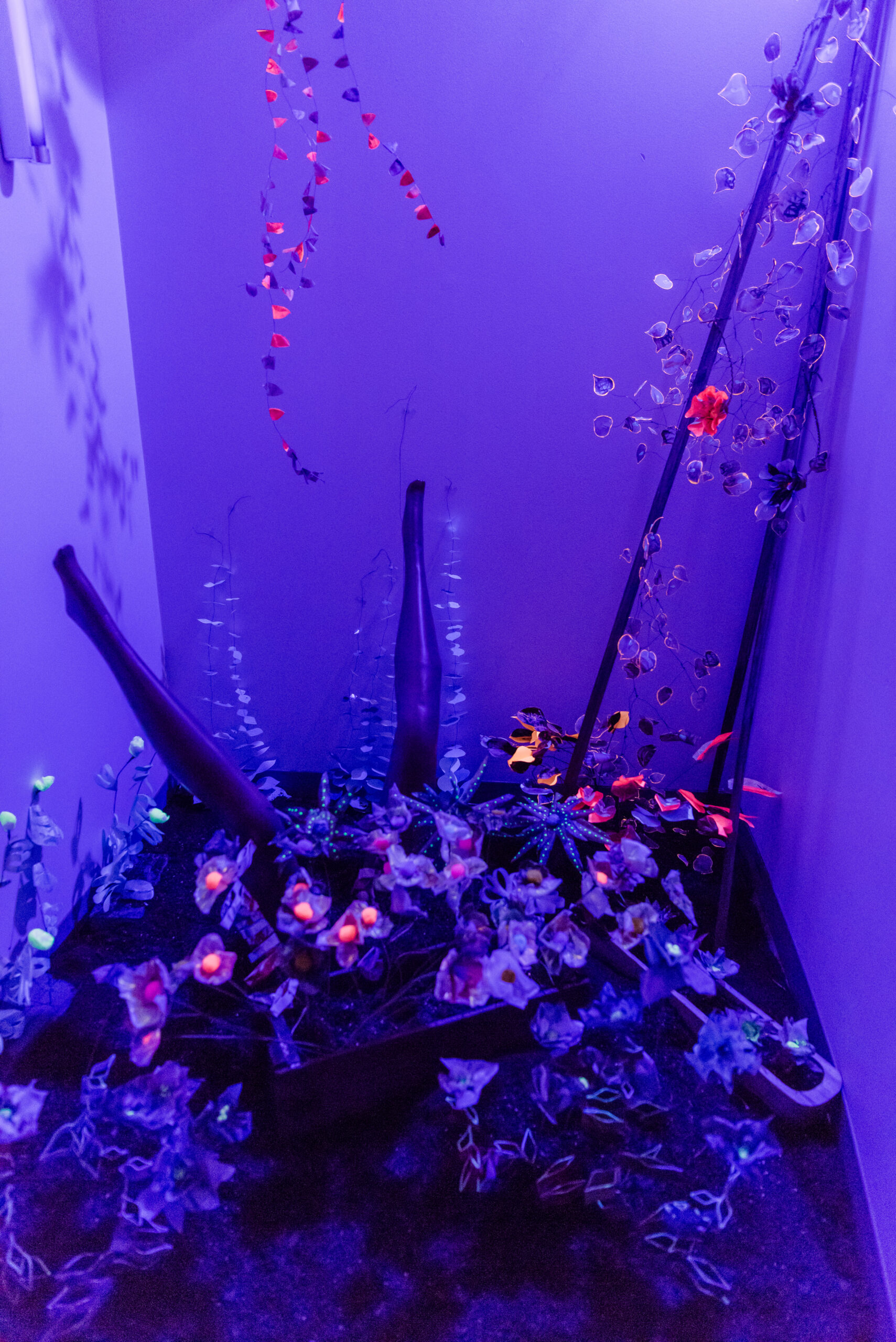 Image of a blue underwater art gallery exhibit