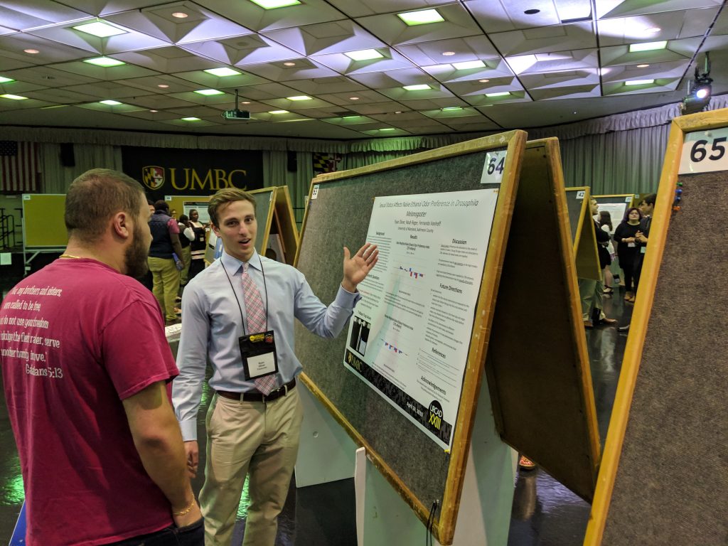 Ryan Oliver presents his research at UMBC's Undergraduate Research and Creative Achievement Day 2019. Photo courtesy of Fernando Vonhoff.