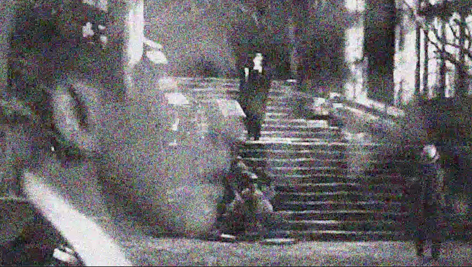Still from “Dude Descending a Staircase” courtesy of Rahhe Alexander.