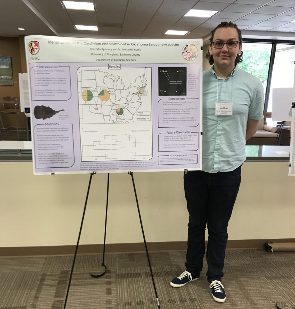 Student standing to right of research poster.