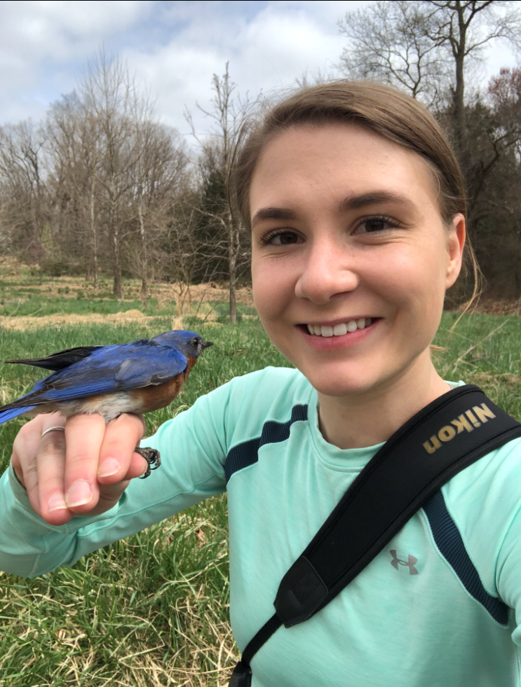 undergraduate outdoors holding bird