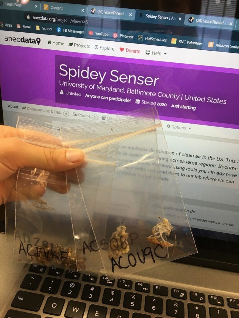 hand holding ziploc bags containing spider webs in front of computer screen
