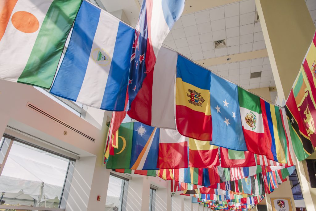 Dozens of flags from nations around the world, hanging in a large building, brightly lit by large windows.