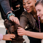 students pet chip the dog