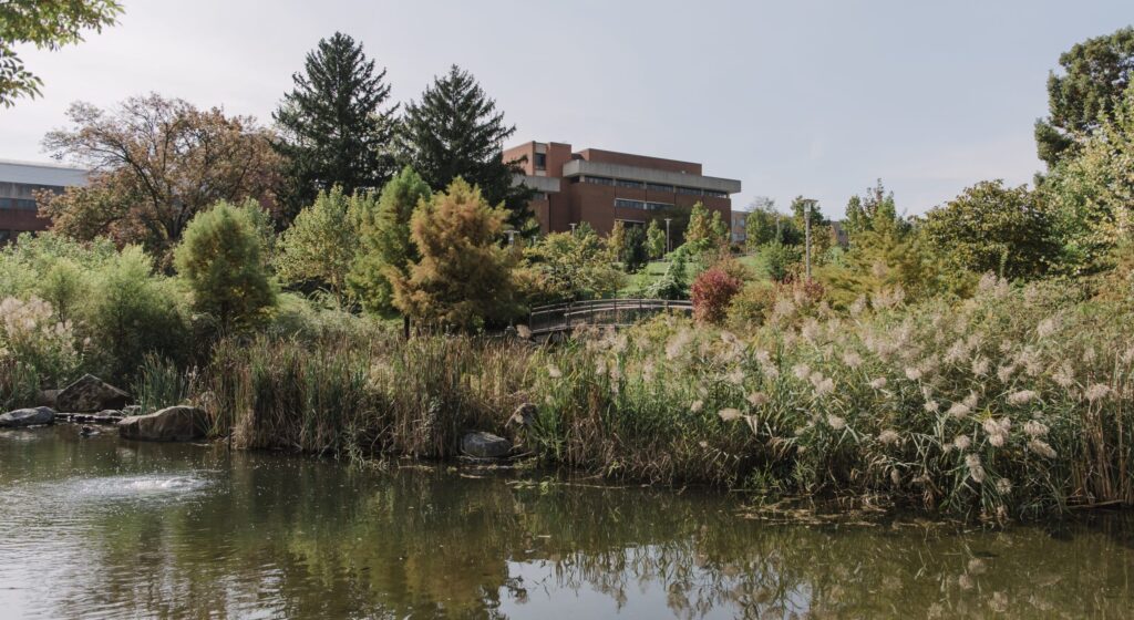 Major UMBC stream restoration will enhance ecosystems, stormwater management, and the community experience