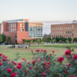 roses in foreground, open field, two brick buildings in background