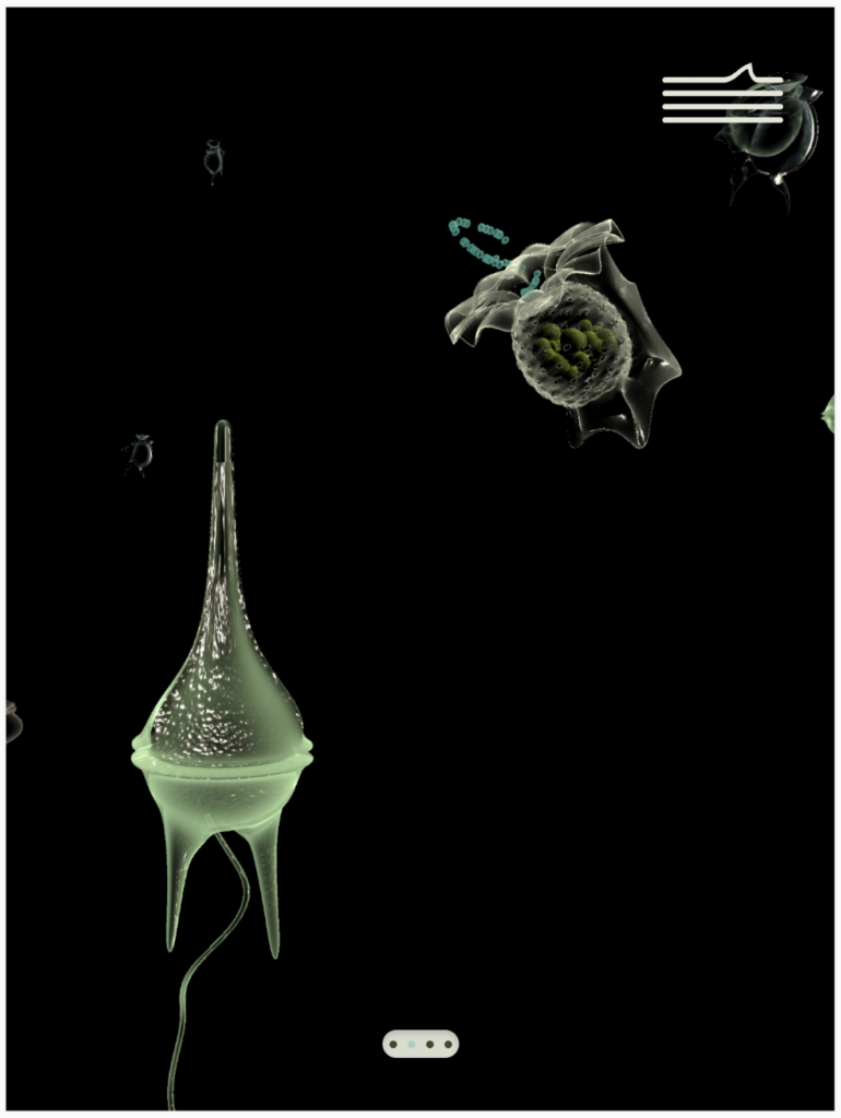 A screen shot from an augmented reality app, showing renderings of microscopic organisms.