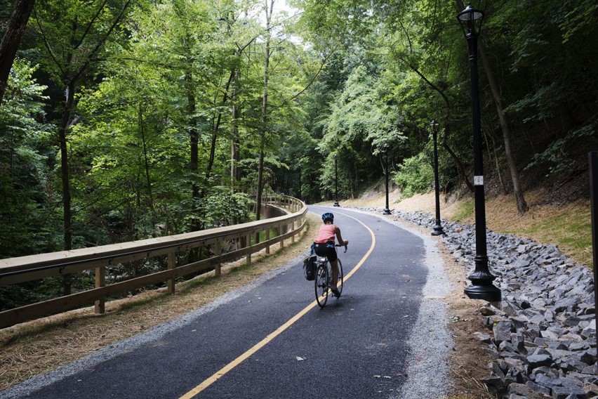 Cyclist heading down a bike path with forest on either side.