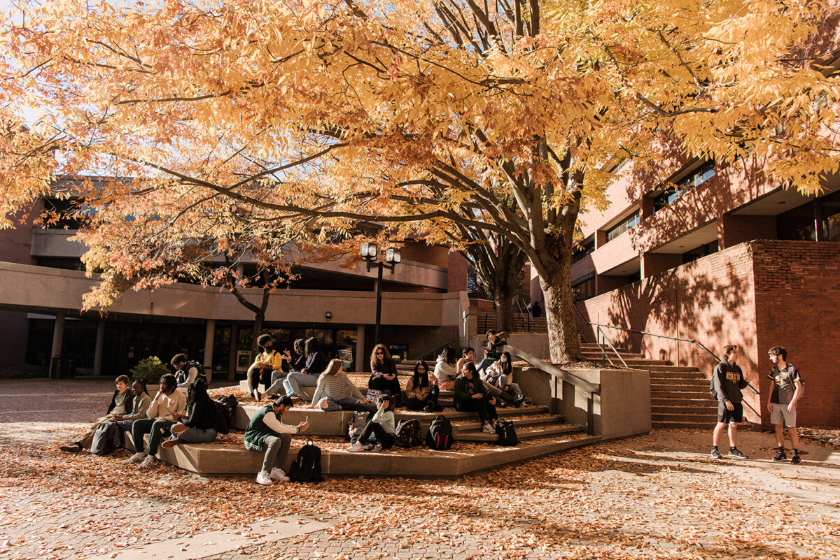 UMBC's campus in the fall season, featuring students sitting together on the stairs below a golden tree shedding its leaves