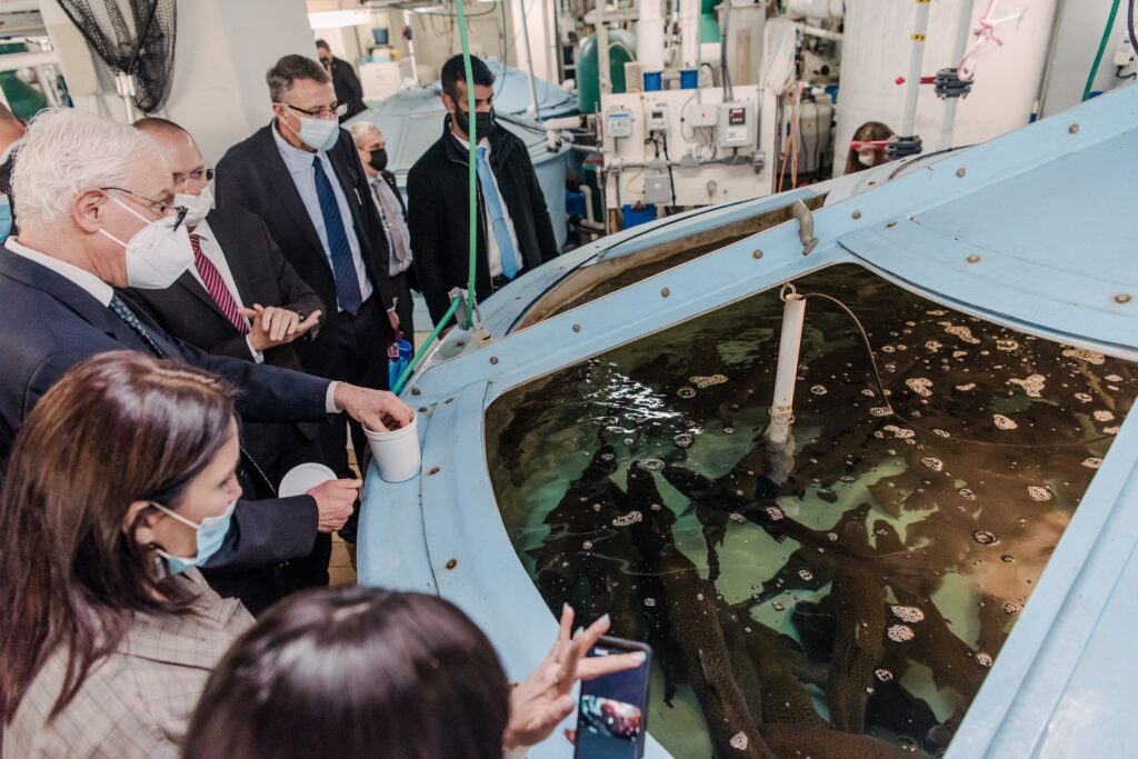 six people gathered around a large indoor tank full of large fish.