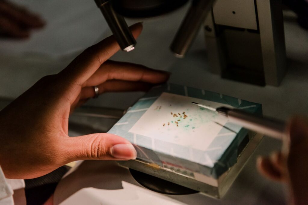 Close-up of a hand holding an instrument to inspect fruit lies in a lab.