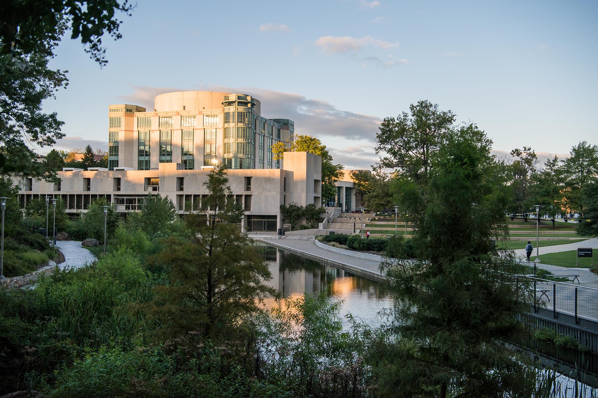 AOK Library and reflective pond