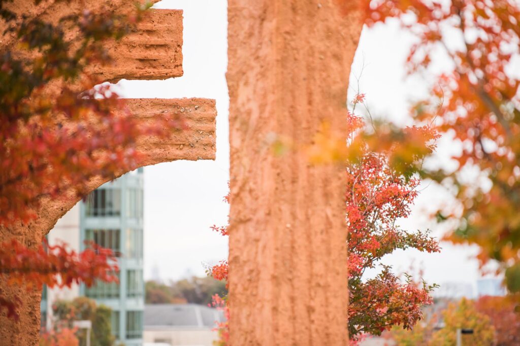 Campus details in the Fall.