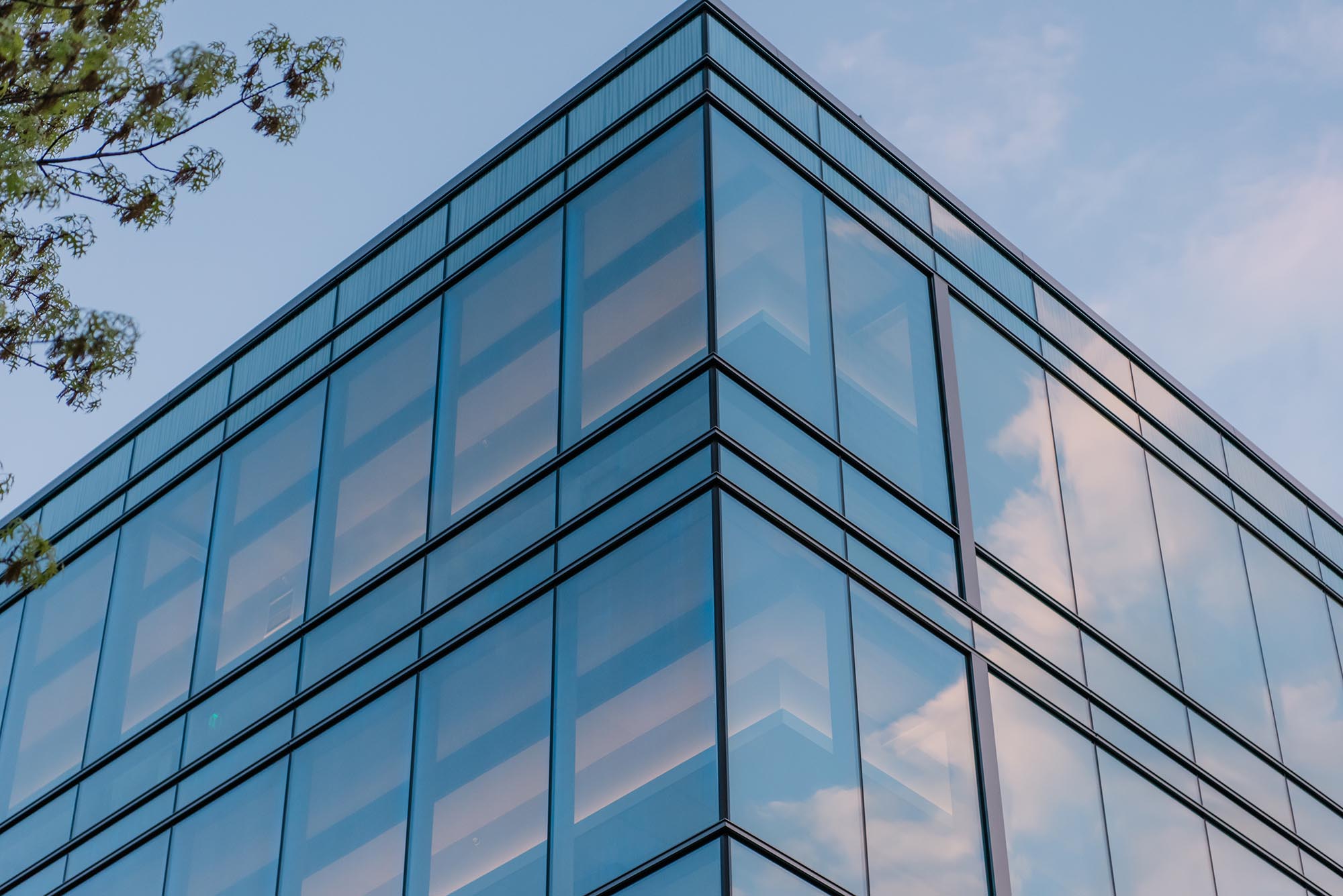 A clean glassy building and a blue sky, with a tree by the side.