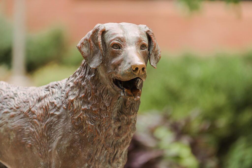 Statue of True Grit, UMBC's Chesapeake Bay Retriever mascot.