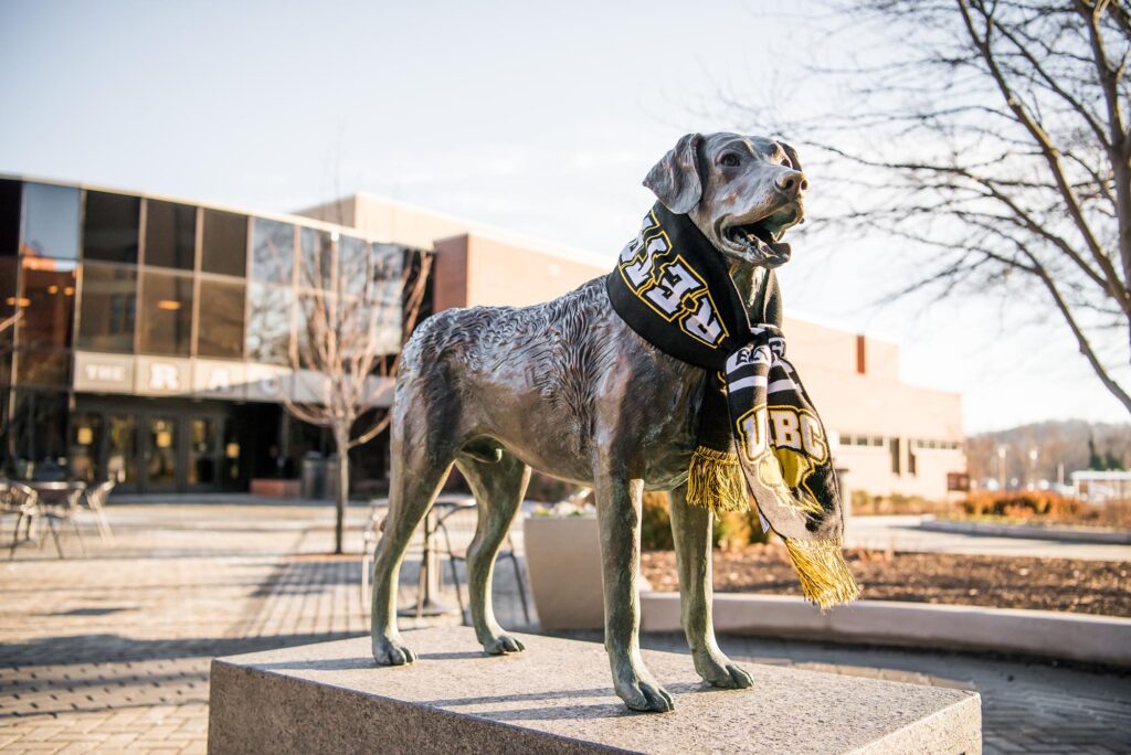 UMBC's mascot statue wearing a black and gold scarf.