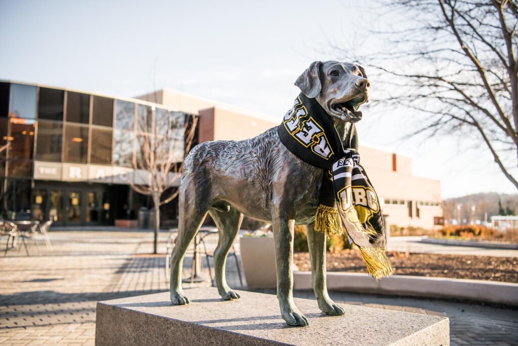 State of UMBC's mascot, True Grit, wearing a UMBC scarf.