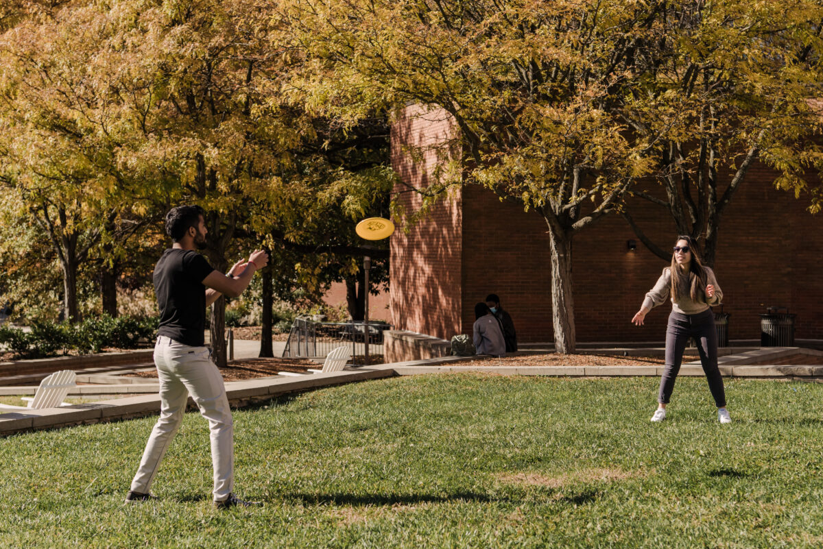 Two students throw a frisbee on a lawn