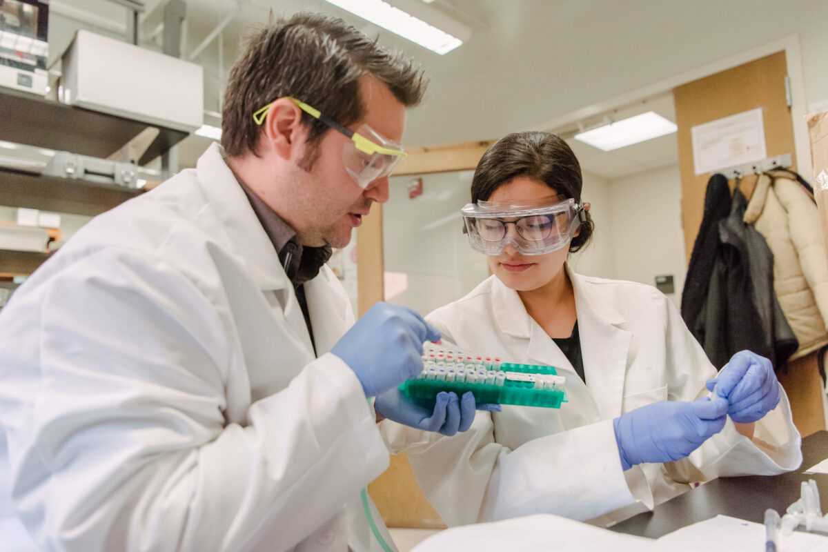 two people examine a tray of samples in a lab