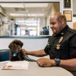 Police officer and chocolate lab dog stare at each other at a table
