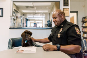 Police officer and chocolate lab dog stare at each other at a table