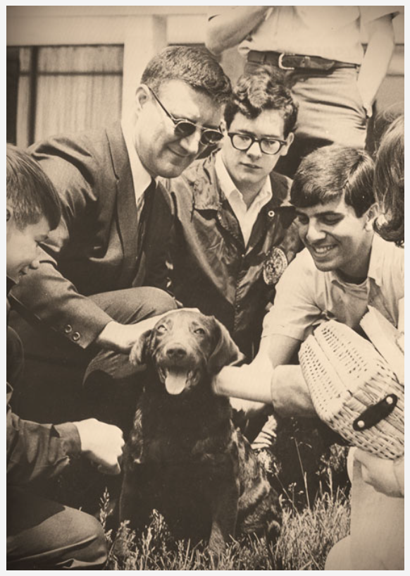 Several men pet a small dog