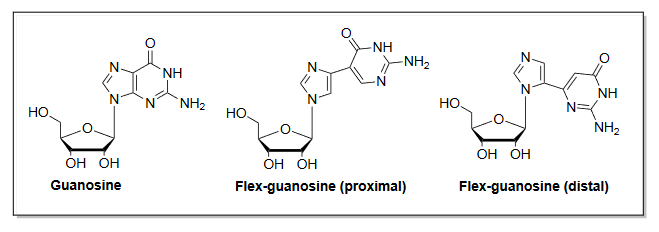 illustration of three chemical structures