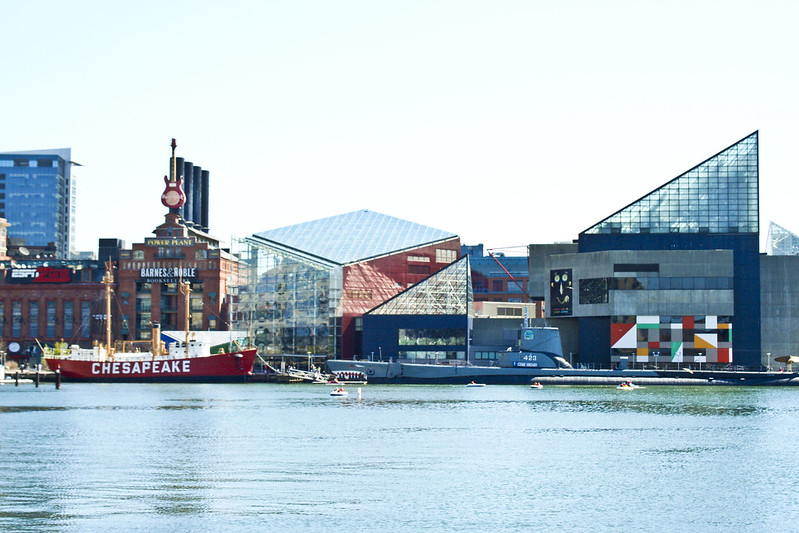 flat body of water backed by a variety of large downtown buildings