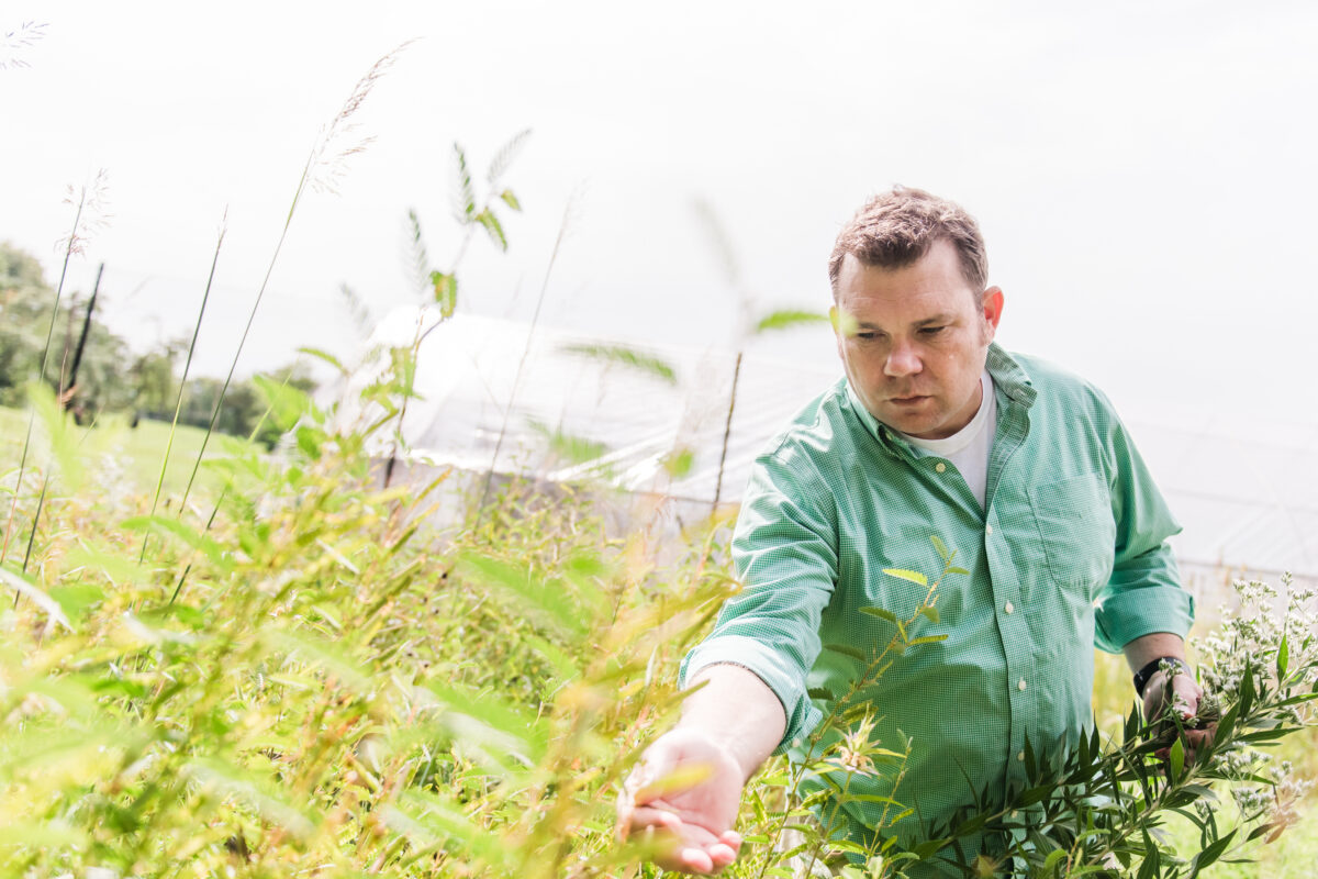 man inspects plants growing outside a greenhouse