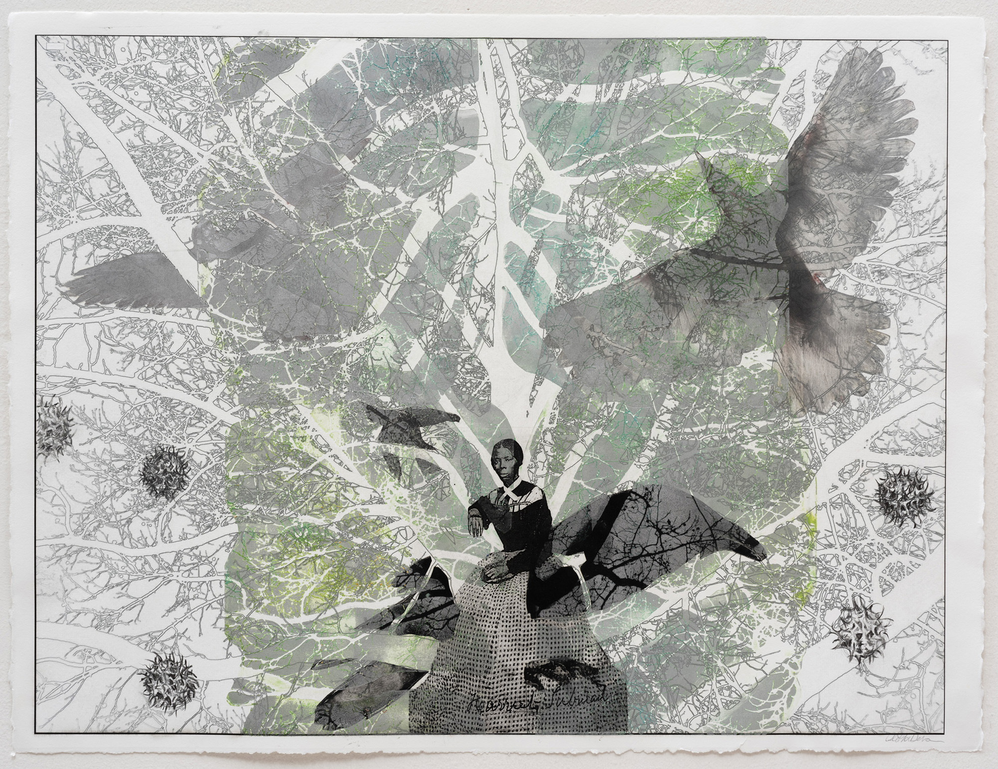 An abstract image featuring the figure of Harriet Tubman and ravens