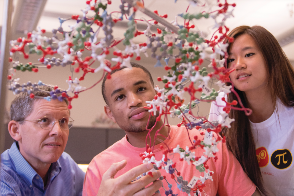 students and a professor examine a biological model