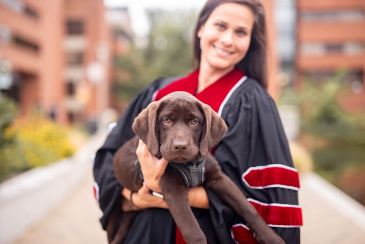 Woman in graduation clothing holds a chocolate Labrador retriever.