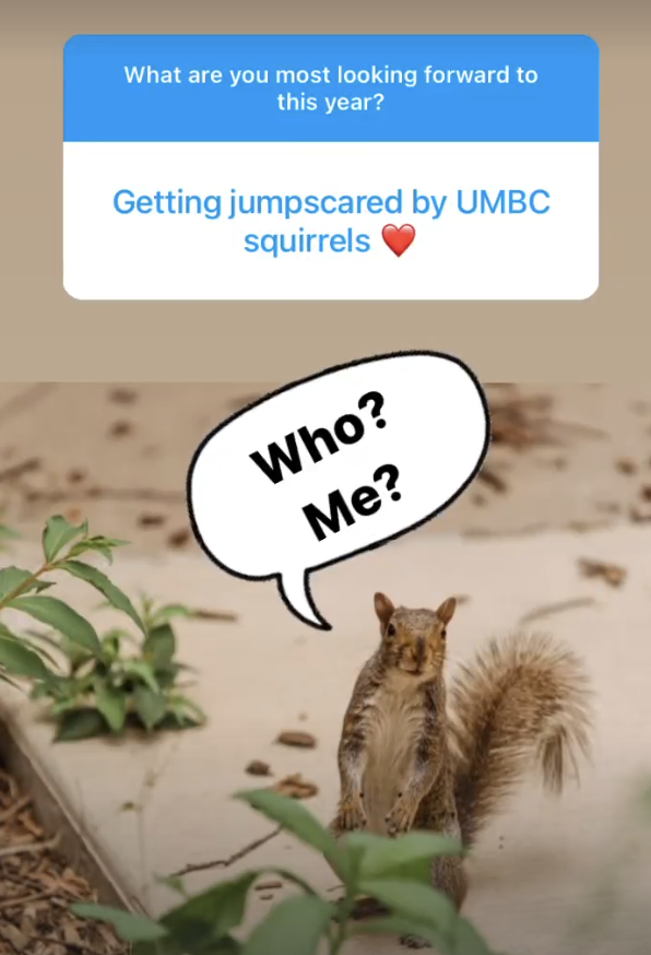 Screenshot of text box "What are you most looking forward to this year?" with answer "getting jumpscared by squirrels" with picture of squirrel and word bubble saying "who? me?"