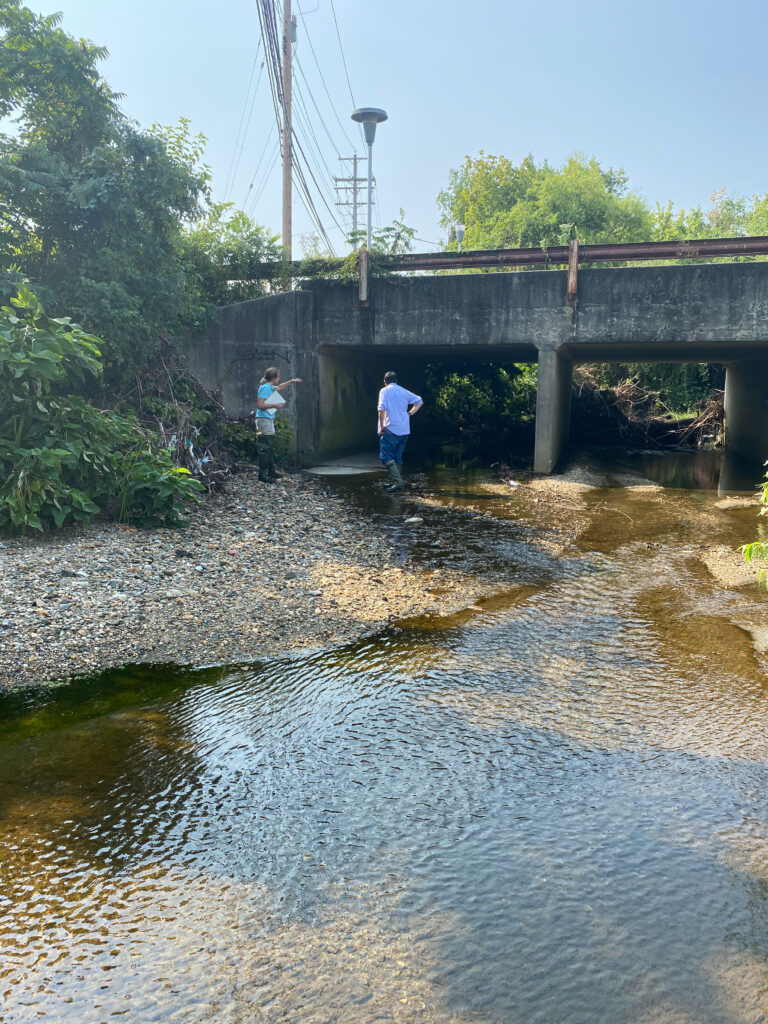 two researchers in tall wellington boots stand along the gravelly bank of a stream, which is passing under a bridge.